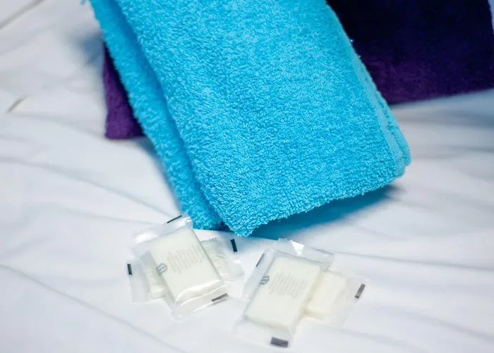 ホテル デ ザンドリ パリ